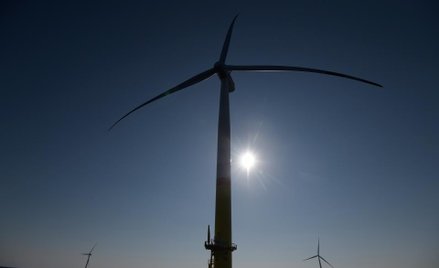 Polska na podium w nakładach na farmy wiatrowe
