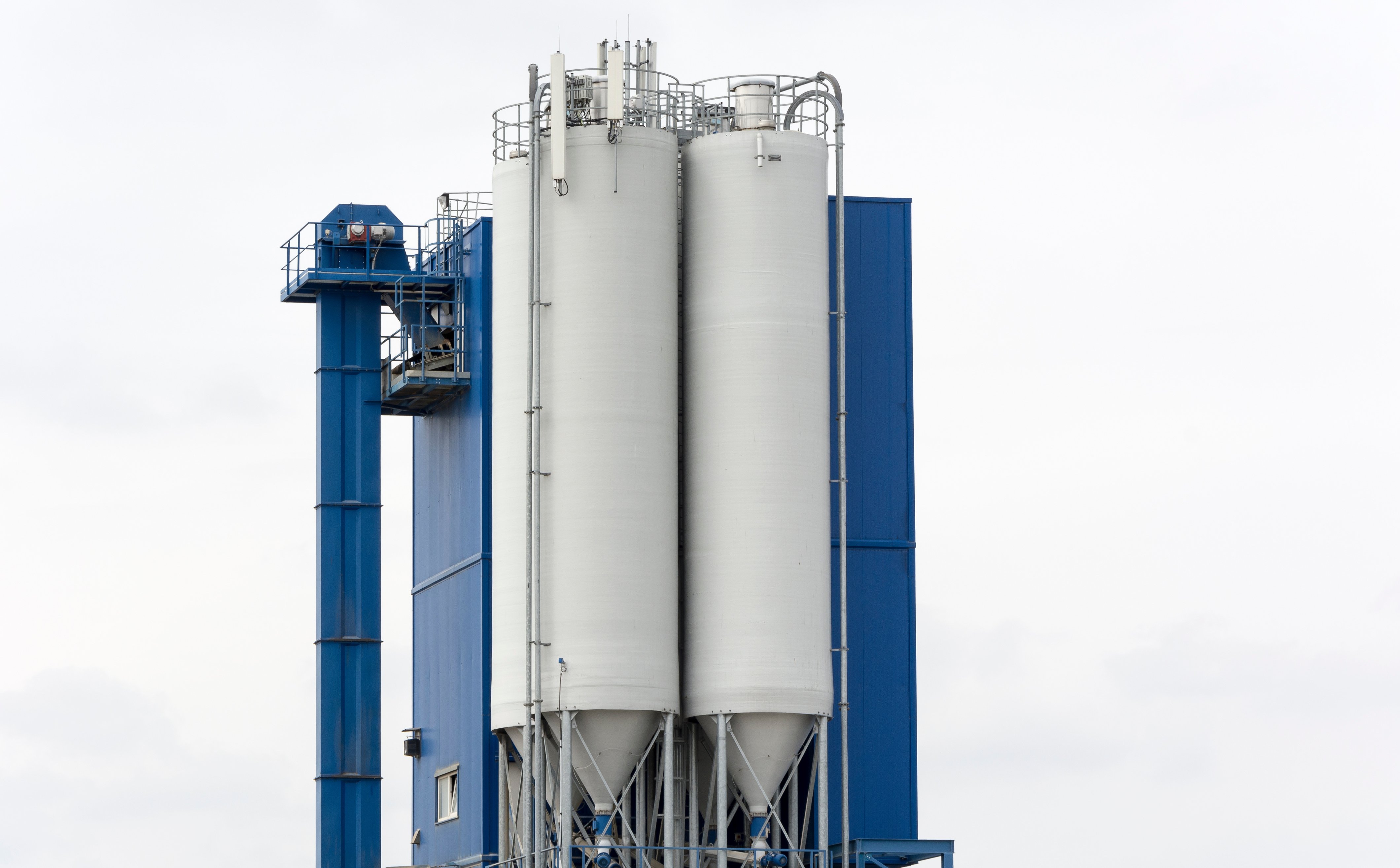 Egipt postawił na Feerum. Kurs wystrzelił