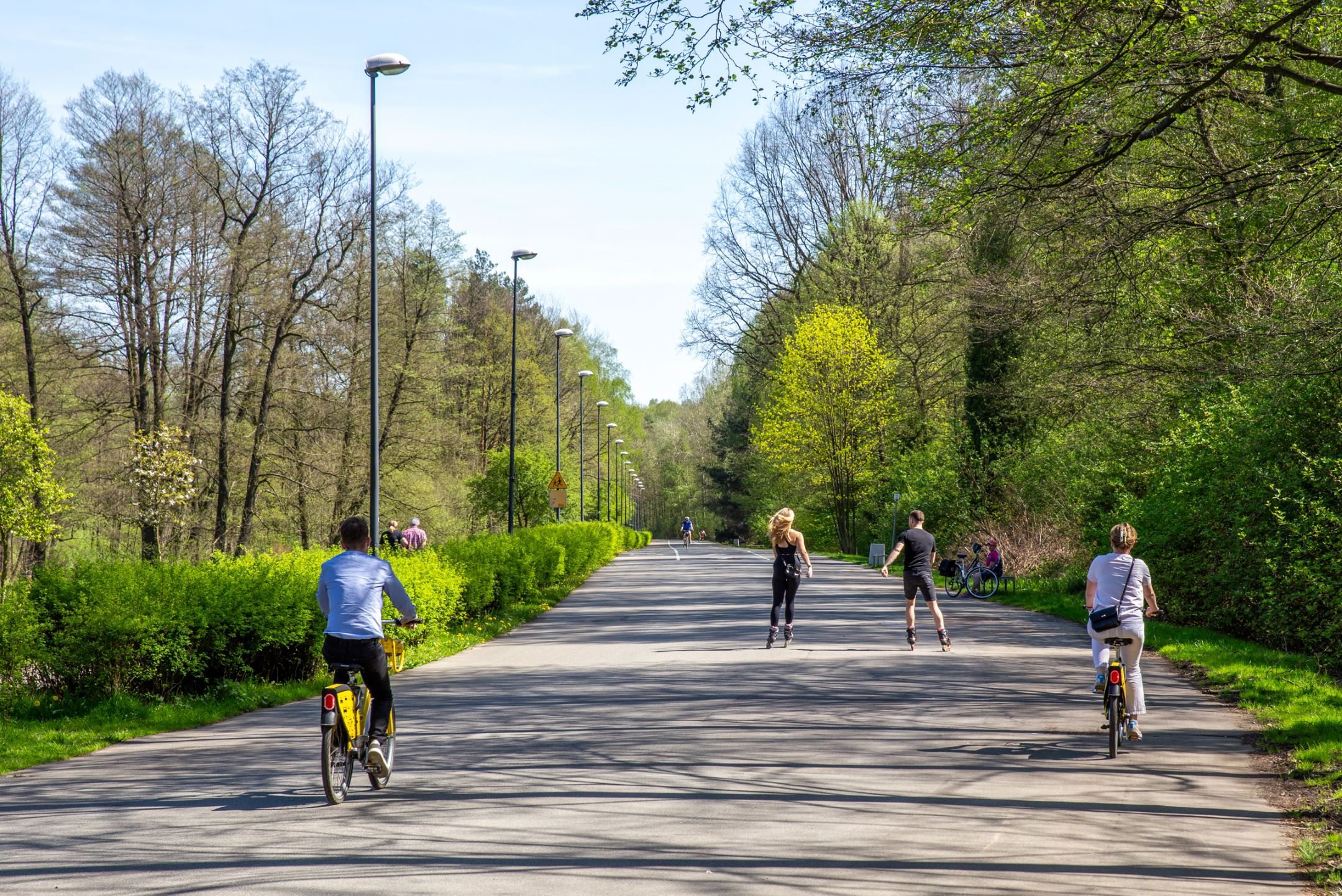 Katowice stawiają na miejską infrastrukturę rowerową