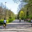 Rolkostrada w Dolinie Trzech Stawów to również wydzielony pas dla rowerzystów