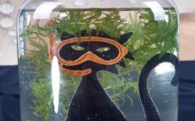 XV Noc Biologów odbędzie się 16 stycznia (piątek) na Wydziale Biologii Uniwersytetu Warszawskiego pr