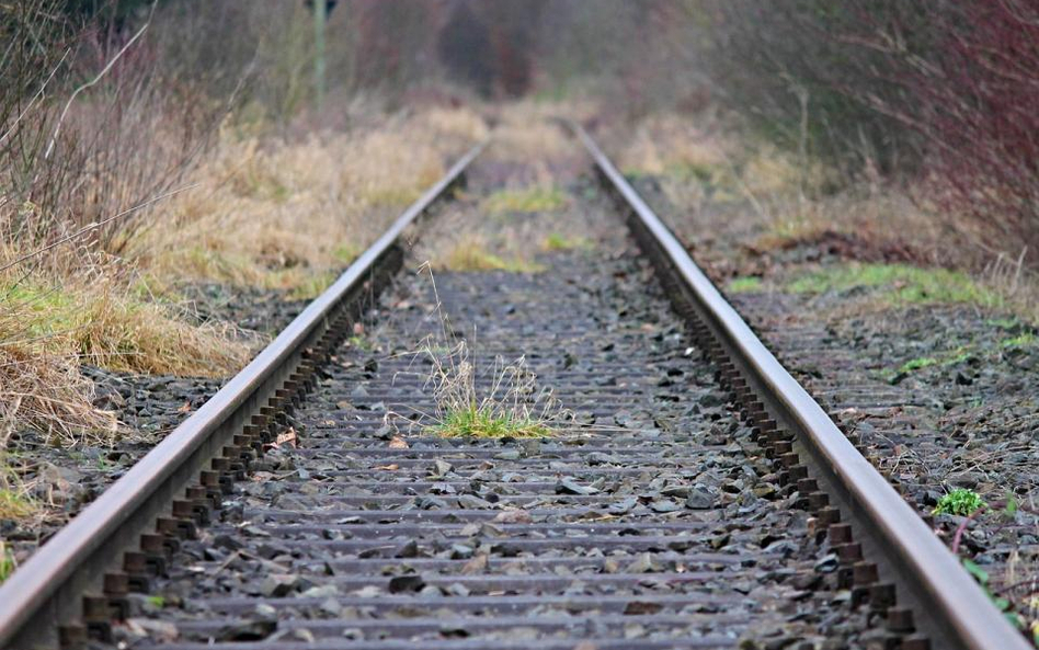 PKP przygotowane do świątecznych wyjazdów