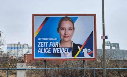 Plakat wyborczy AfD