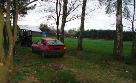 Co grozi za parkowanie i jazdę po lesie