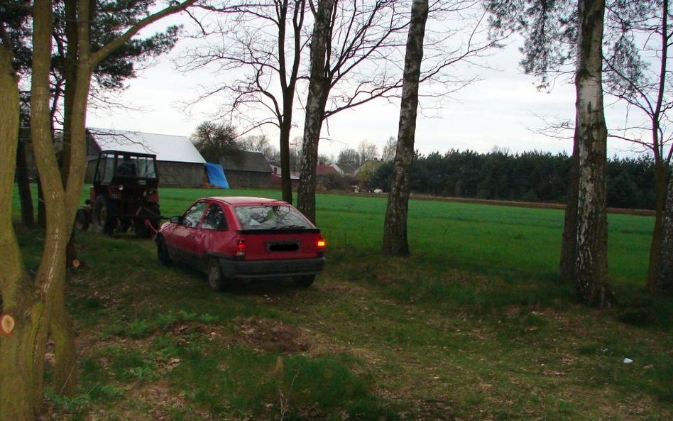 Co grozi za parkowanie i jazdę po lesie