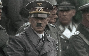 Zarzuty za wąsik a’la Hitler