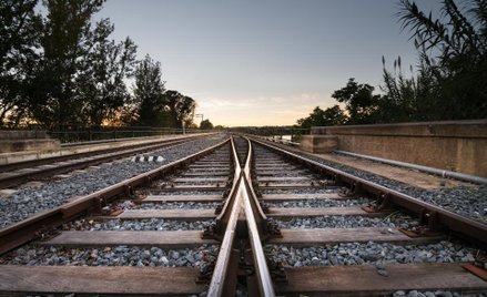 Nowelizacja rozporządzenia dotyczącego drzew i krzewów rosnących blisko linii kolejowych