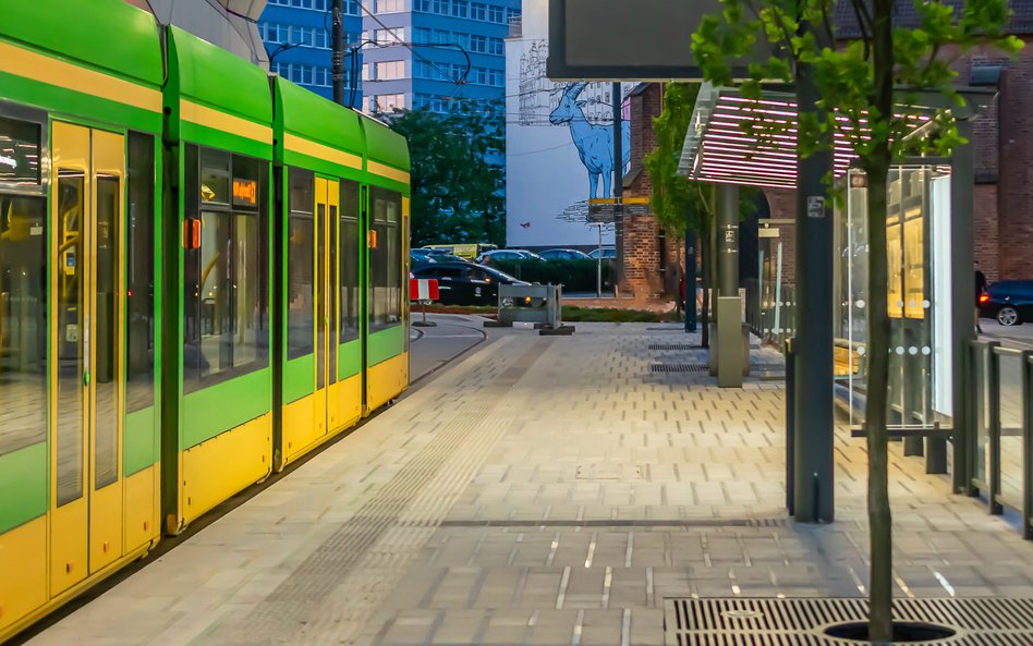 Władze Poznania na razie nie planują budowy nowych zielonych torowisk