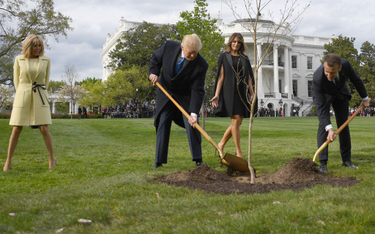 Biały Dom: Drzewo Emmanuela Macrona zwiędło. Wyśle nowe