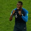 Pogba dedykuje awans Francji do finału "Dzikim dzikom"