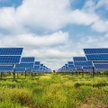 Fotowoltaika. Mocny wzrost „słonecznych” firm