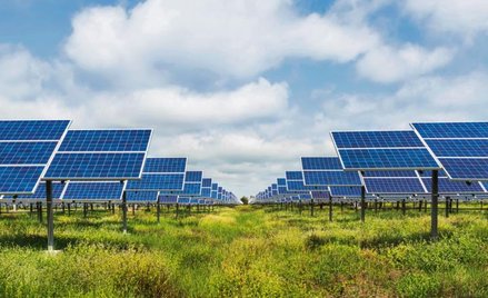 Fotowoltaika. Mocny wzrost „słonecznych” firm