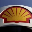 Kia Ora Shell
