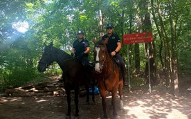 Patrole będą pojawiać się w rezerwacie kilka razy w tygodniu