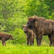 Nowe nabory na rozwój turystyki, ochronę dziedzictwa i OZE dla Podlasia