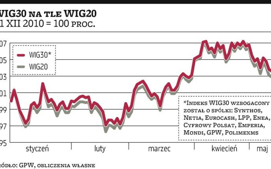 WIG30 w przyszłym roku?