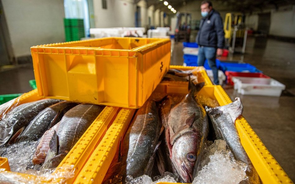 WTO bezradna wobec nadmiernych połowów ryb
