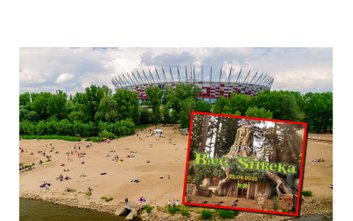 Już w sobotę 23 sierpnia na Plaży Poniatówka odbędzie się Nocny Bieg Shreka