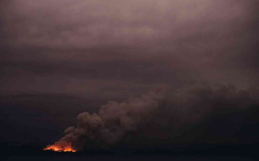 Australia: Dym z pożarów zagraża obrazom Picassa