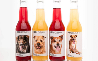Butelki ze zdjęciami psów do adopcji. Świetna inicjatywa kawiarni w Krakowie