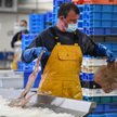 Francja: kredyty dla firm, pakiet dla sektora lotnictwa