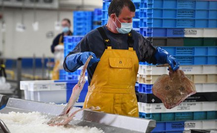 Francja: kredyty dla firm, pakiet dla sektora lotnictwa