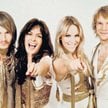 To nie ABBA! To Music of ABBA, muzycy, którzy odtwarzają koncerty szwedzkiej legendy. Stała się ona 