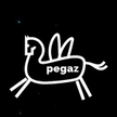 "Pegaz" znika z TVP1. Będzie tylko w TVP Kultura