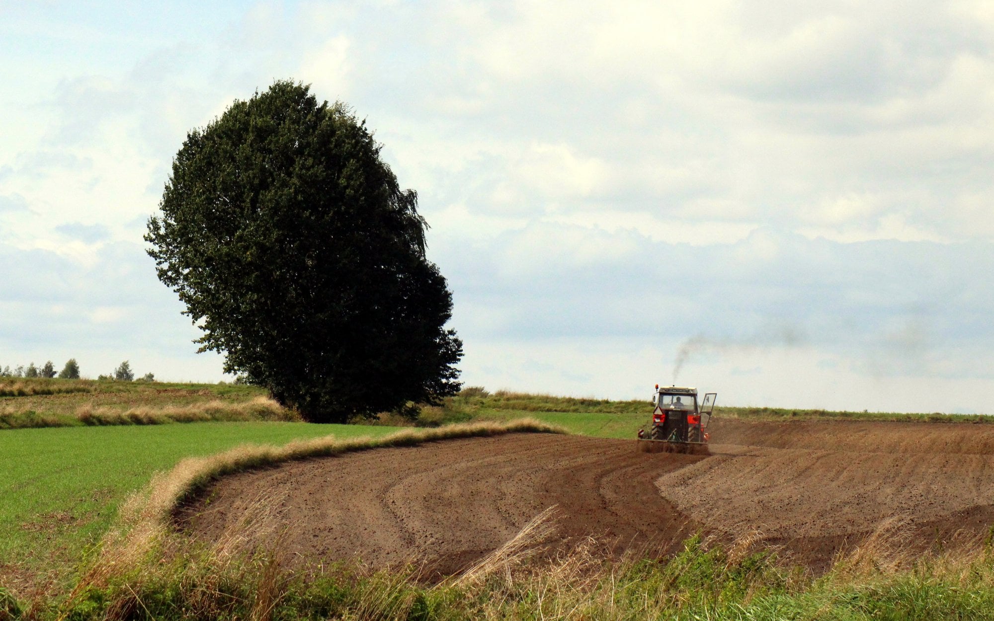 Kalendarium - piątek 27 marca