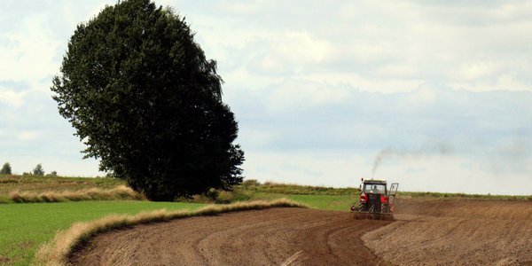 Kalendarium - piątek 27 marca