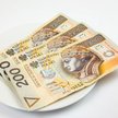 Nie brakuje możliwości, gorzej jest z wiedzą i determinacją