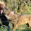 Gość „Plusa Minusa” poleca. Sabina Nowak: Zwierzęce zmysły
