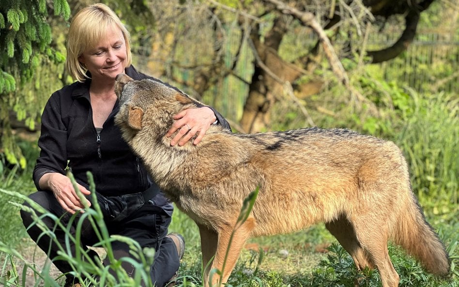 Gość „Plusa Minusa” poleca. Sabina Nowak: Zwierzęce zmysły