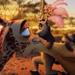„Madagaskar 2” – opowieść o zwariowanych uciekinierach z nowojorskiego zoo – cieszy się wśród widzów