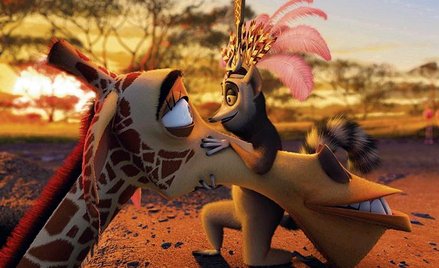 „Madagaskar 2” – opowieść o zwariowanych uciekinierach z nowojorskiego zoo – cieszy się wśród widzów