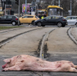 13 marca rolnicy zablokowali ważne skrzyżowanie w stolicy