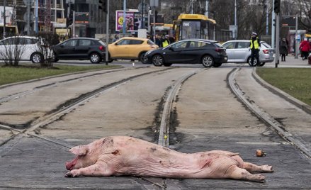 13 marca rolnicy zablokowali ważne skrzyżowanie w stolicy