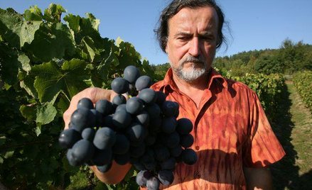 Roman Myśliwiec, właściciel winnicy