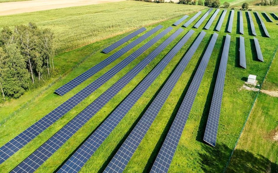 Bras planuje budowę jednej z największych farm PV w Polsce