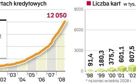 Rynek kart kredytowych w Polsce. Do niedawna bankowcy chwalili się wartością udzielonych kredytów hi