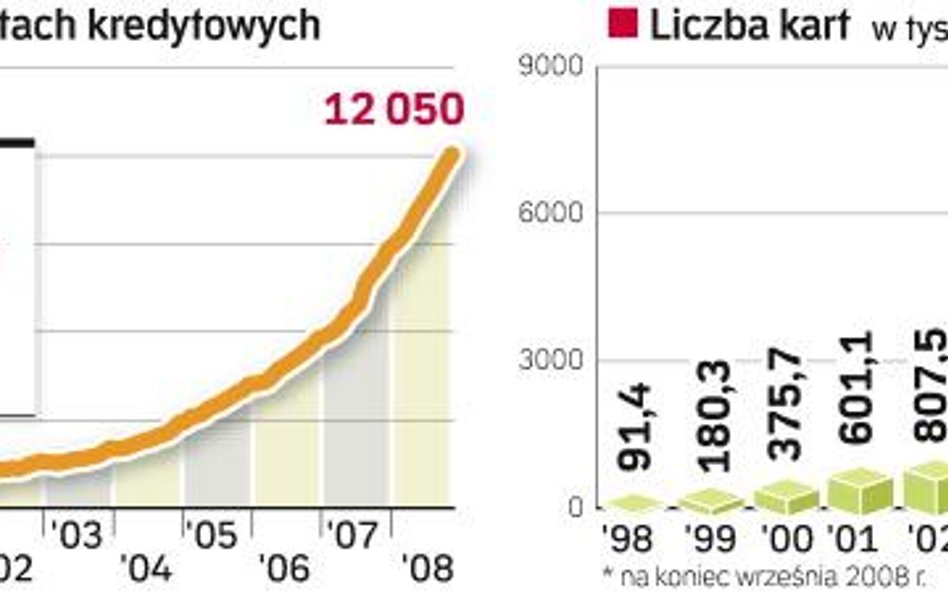 Rynek kart kredytowych w Polsce. Do niedawna bankowcy chwalili się wartością udzielonych kredytów hi