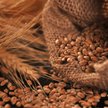Jest zakaz przewozu z Ukrainy produktów rolnych