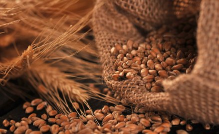 Jest zakaz przewozu z Ukrainy produktów rolnych