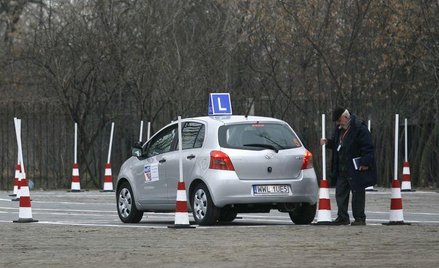 Świeżo upieczony kierowca pojedzie wolniej