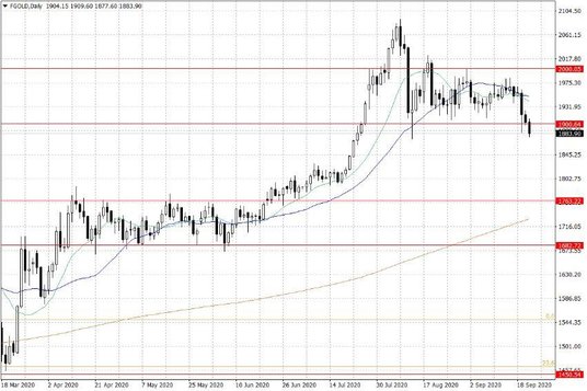 Notowania złota – dane dzienne