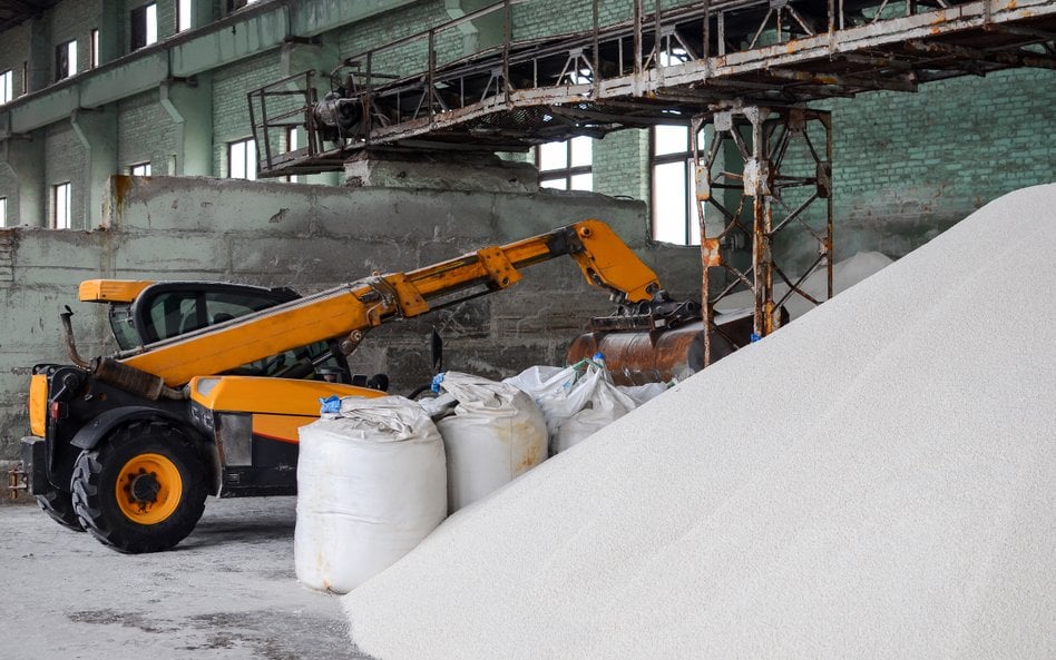 Tak Unia Europejska pomaga Putinowi. Polska niechlubnym liderem