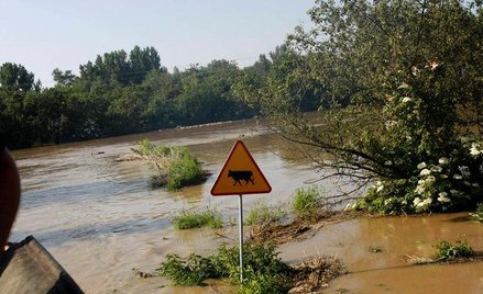 Gmina Tarłów (województwo świętokrzyskie)