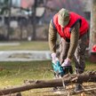 Zgłoszenie wycinki drzewa lub krzewu na własnej działce nie zawsze jest obowiązkowe