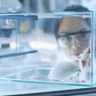 Zwierzęta laboratoryjne będą gorzej chronione