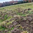 Budowa na działce rolnej. Jakie warunki trzeba spełnić?